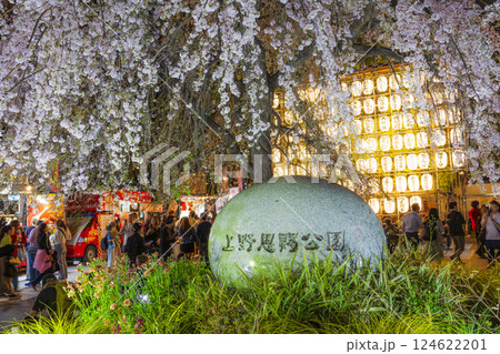 上野公園　満開の枝垂れ桜　東京 124622201