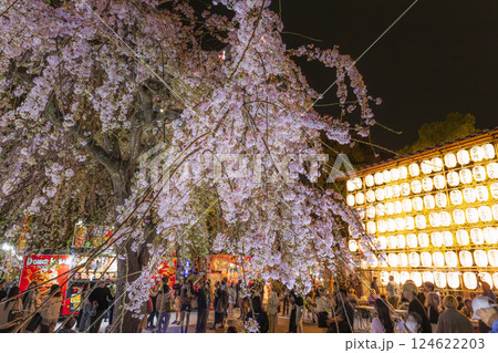 上野公園　満開の枝垂れ桜　東京 124622203