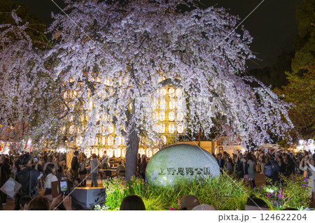 上野公園　満開の枝垂れ桜　東京 124622204