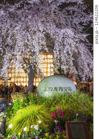 上野公園　満開の枝垂れ桜　東京 124622206