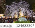 上野公園 満開の枝垂れ桜 東京 上野公園 満開の枝垂れ桜 東京 124622207