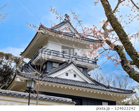 千葉県君津市にある久留里城と桜 124622242