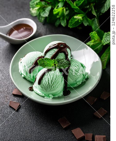 チョコミントのアイスクリーム。ミント味のアイスクリームとチョコレートソース。 124622258