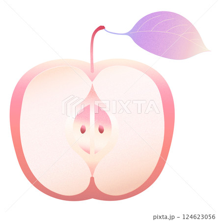 赤いリンゴ 124623056