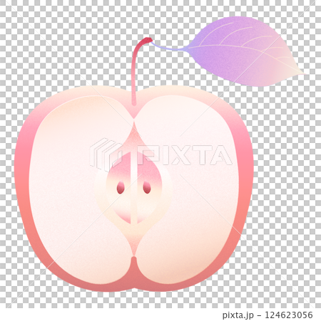 赤いリンゴ 124623056