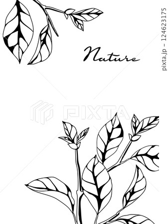 Background with branches and leaves. Spring or summer stylized foliage. 124623175