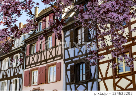 Half-timbered medieval houses in Colmar, Alsace, France 124623293