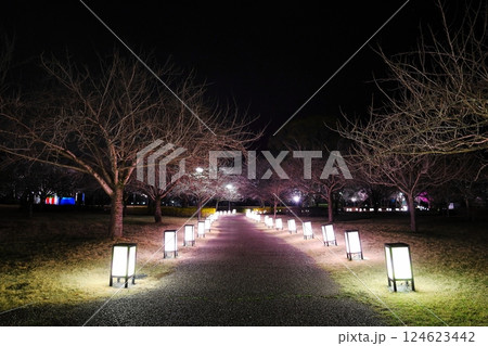 桜の名所 東雲公園のライトアップ/栃木県壬生町 桜の名所 東雲公園のライトアップ/栃木県壬生町 124623442