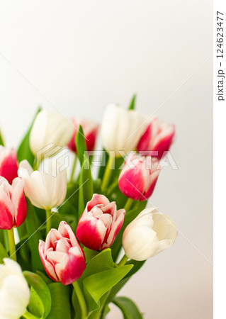 Beautiful spring bouquet of pink and white tulips in a glass vase Beautiful spring bouquet of pink and white tulips in a glass vase 124623477