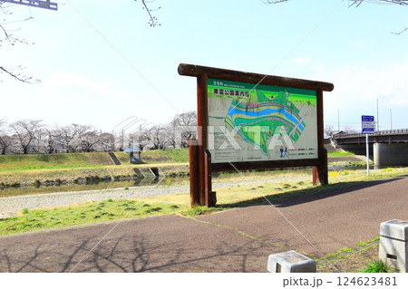 桜の名所 東雲公園/栃木県壬生町 桜の名所 東雲公園/栃木県壬生町 124623481
