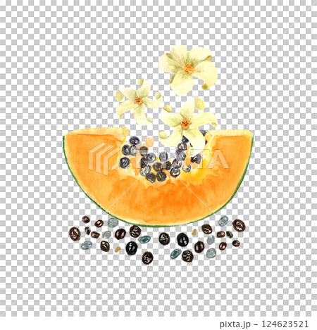 Papaya slice with seeds and flowers watercolor textured illustration isolated on white. The hand-painted tropical fruit clip art is perfect for culinary designs, labels, prints, cards, packages menu 124623521