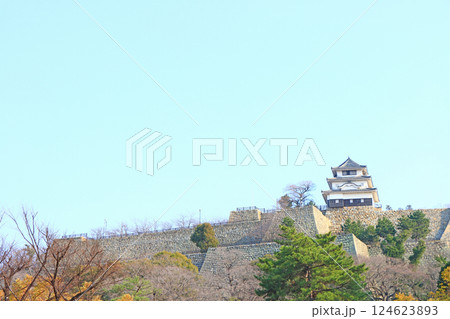 香川県丸亀市、丸亀城の風景 124623893
