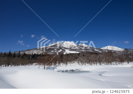 快晴の冬 一面雪景色の妙高高原 凍結したいもり池と雪をいただく妙高山 124623975