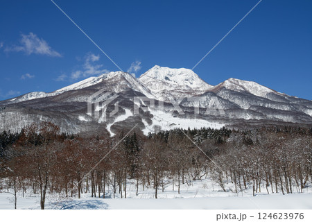 快晴の雪景色の妙高高原 妙高山山ろくにゲレンデが広がる 快晴の雪景色の妙高高原 妙高山山ろくにゲレンデが広がる 124623976