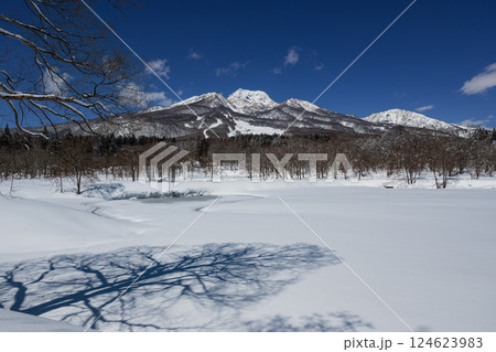 快晴の冬 一面雪景色の妙高高原 凍結したいもり池に影を落とす木と雪をいただく妙高山 124623983