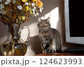 A beautiful striped coloring cat sits on a table near a bouquet of flowers, looking with interest 124623993