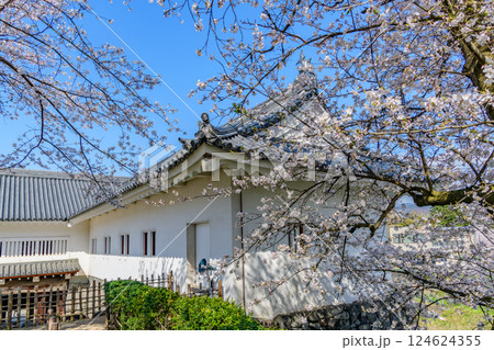 山形城　桜満開 124624355