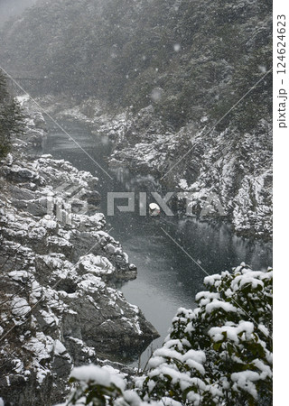 奇岩入り組む大歩危峡雪景色 124624623