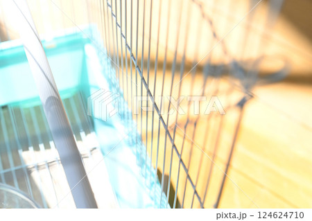 鳥かご 鳥かご 124624710