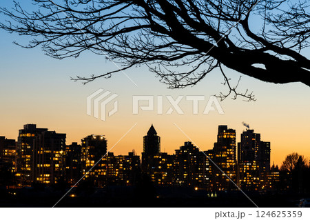 City apartment building skyline silhouette in dusk twilight time, beautiful colorful sky horizon in Vancouver, British Columbia, Canada. A tree branches in the foreground. 124625359
