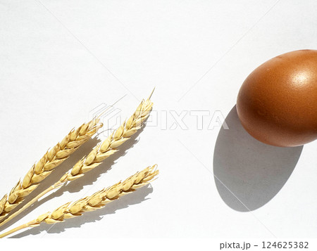 Wheat Stalks and Egg on White Background Display 124625382