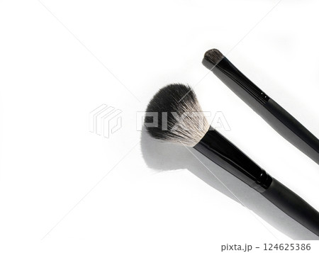 Professional Makeup Brushes on a White Background Professional Makeup Brushes on a White Background 124625386