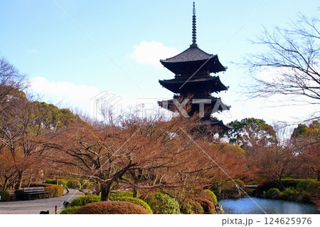 京都府　東寺・庭園 五重塔　京都市 南区 九条町　2022年2月 124625976