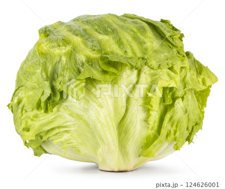Lettuce on white background 124626001