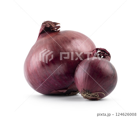 Onions on white background Onions on white background 124626008