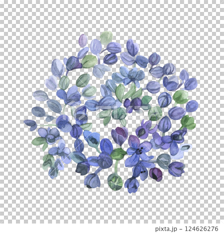 Watercolor of blue- purple hydrangea head. Hand-painted of blooming flower on a white background. Good for postcards, invitations, greeting cards Watercolor of blue- purple hydrangea head. Hand-painted of blooming flower on a white background. Good for postcards, invitations, greeting cards 124626276