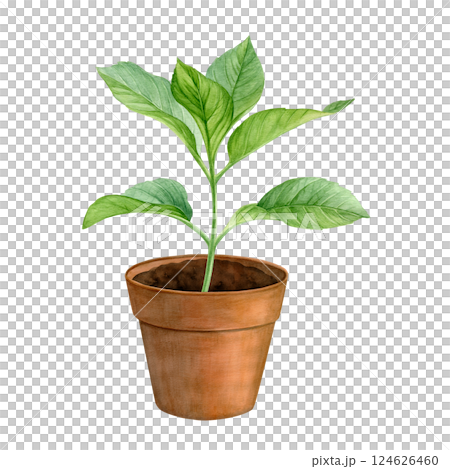 Watercolor plant in a brown flower pot isolated on a white background. Good for postcards, invitations, greeting cards Watercolor plant in a brown flower pot isolated on a white background. Good for postcards, invitations, greeting cards 124626460