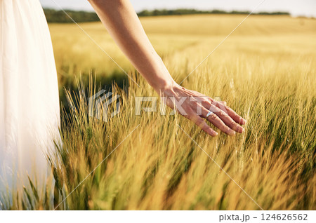Touching the wheat. Beautiful young bride in white dress is on the agricultural field at sunny day 124626562