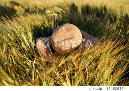 Close up view of the hat that lying down on the field of wheat at sunny day 124626564