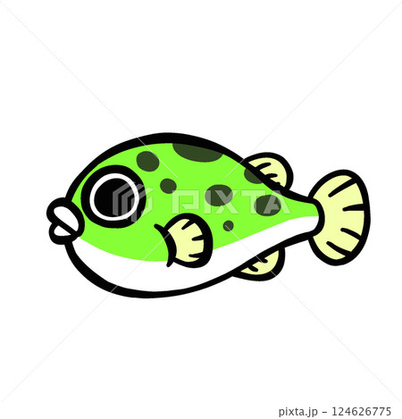 シンプルなミドリフグのイラスト 124626775