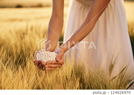 Natural component. Close up view of perlite in woman's hands that is on the agricultural field Natural component. Close up view of perlite in woman's hands that is on the agricultural field 124626970