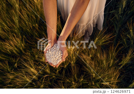 Many of the objects. Close up view of perlite in woman's hands that is on the agricultural field 124626971