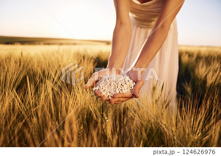 Quality product. Close up view of perlite in woman's hands that is on the agricultural field 124626976
