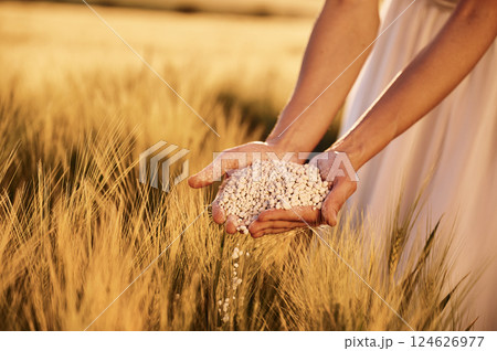 Quality product. Close up view of perlite in woman's hands that is on the agricultural field 124626977