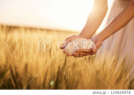 Quality product. Close up view of perlite in woman's hands that is on the agricultural field 124626978