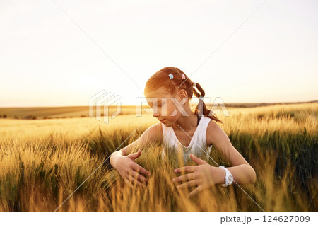 Touching the wheat. Little girl in white clothes is on the agricultural field at sunny day 124627009