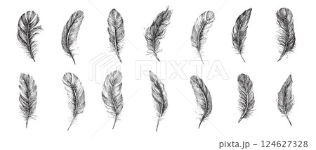 Vector Black and White Feather Pattern, hand drawn style, vector illustration.	 124627328