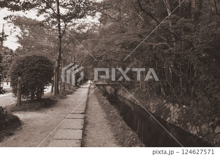 京都　哲学の道（セピア） 124627571