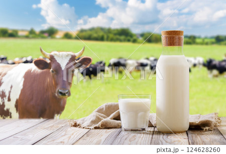 Dairy products. Bottle and glass of milk on wooden table on meadow with grazing cows background Dairy products. Bottle and glass of milk on wooden table on meadow with grazing cows background 124628260