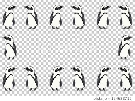かわいいケープペンギンのフレームイラスト 124628713