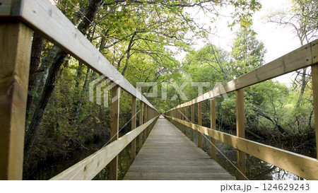 Wooden pathway in Lagoas de Bertiandos 124629243