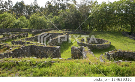 Castro de Romariz 124629310