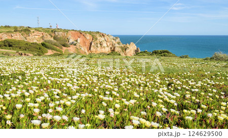 Cliffs view on Lagos, Algarve Cliffs view on Lagos, Algarve 124629500