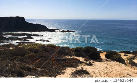 Cliff at Sardao cape 124629544