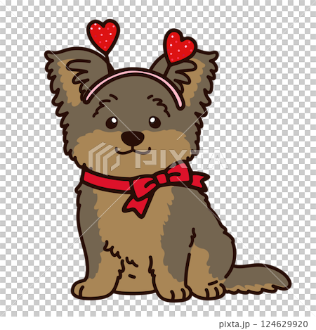 バレンタイン仕様のヨークシャーテリアのイラスト　主線あり 124629920