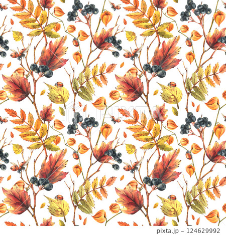 Autumn berries physalis, chokeberry, rowan leaves, maple, birch, tree branches and ladybugs. Watercolor illustrations. Seamless pattern on a white background 124629992